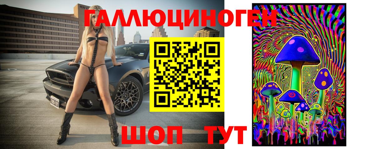 Борзя  Галлюциногенные грибы прущие грибы  Вход с VPN 